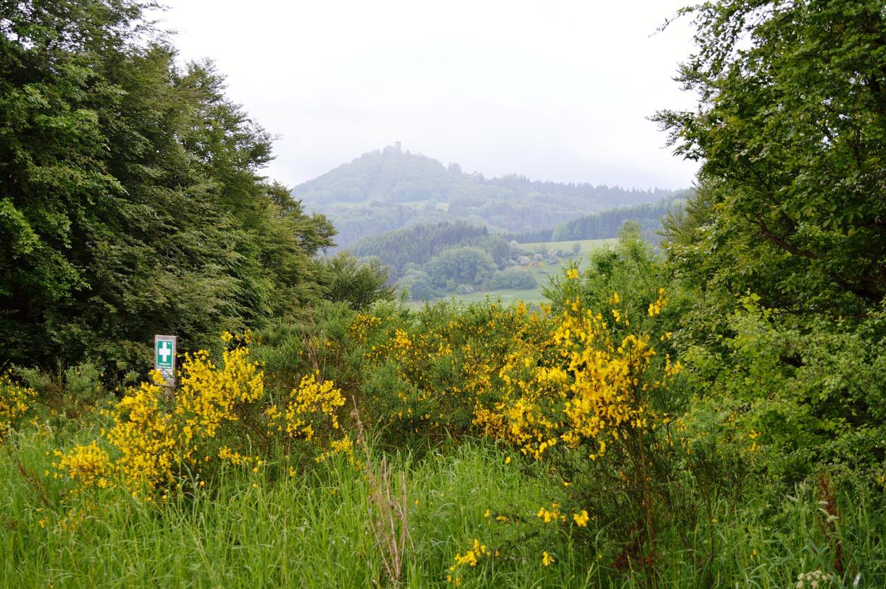 Franky House Am Nuerburgring Bed and Breakfast Quiddelbach Εξωτερικό φωτογραφία