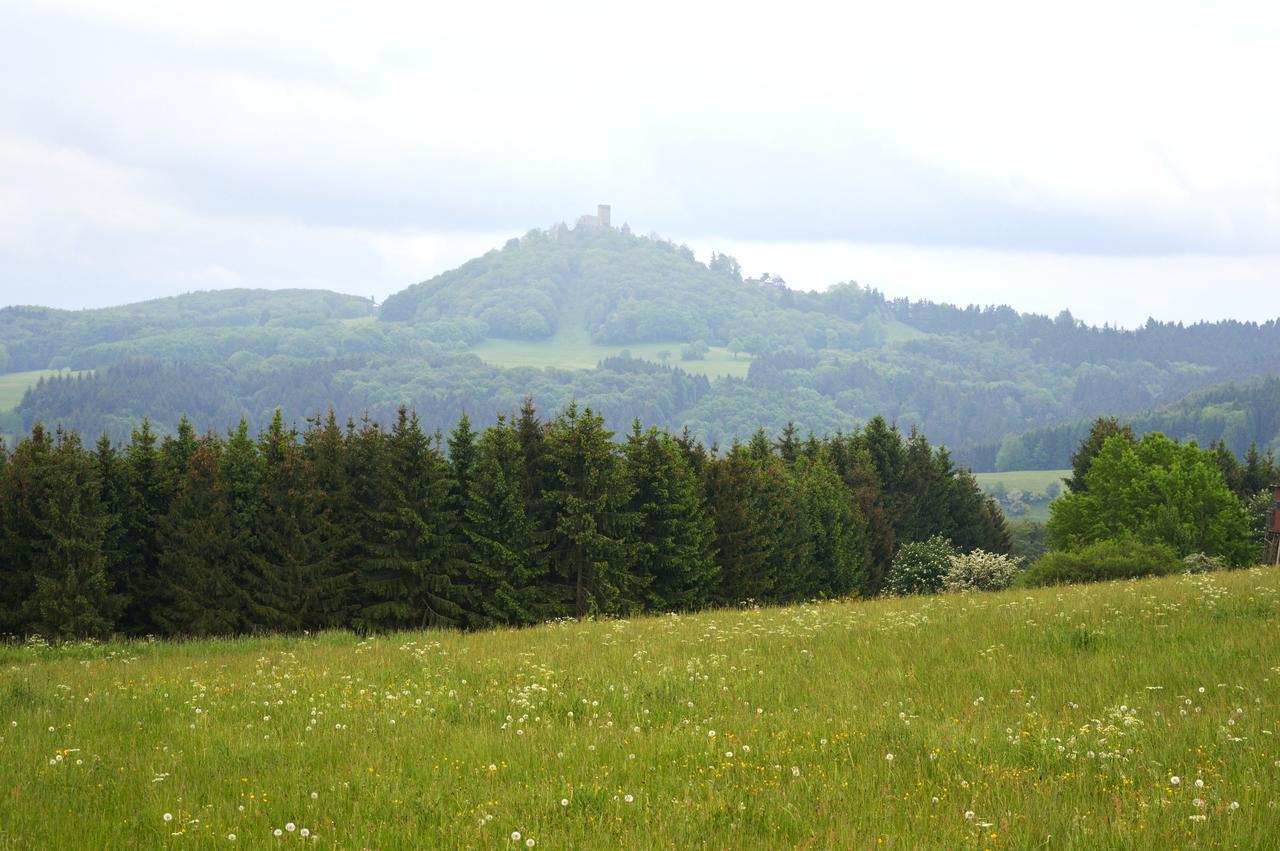 Franky House Am Nuerburgring Bed and Breakfast Quiddelbach Εξωτερικό φωτογραφία